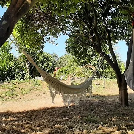 Yuccasa - Small Glamping Camping & Studio'S Pombal  Exterior photo