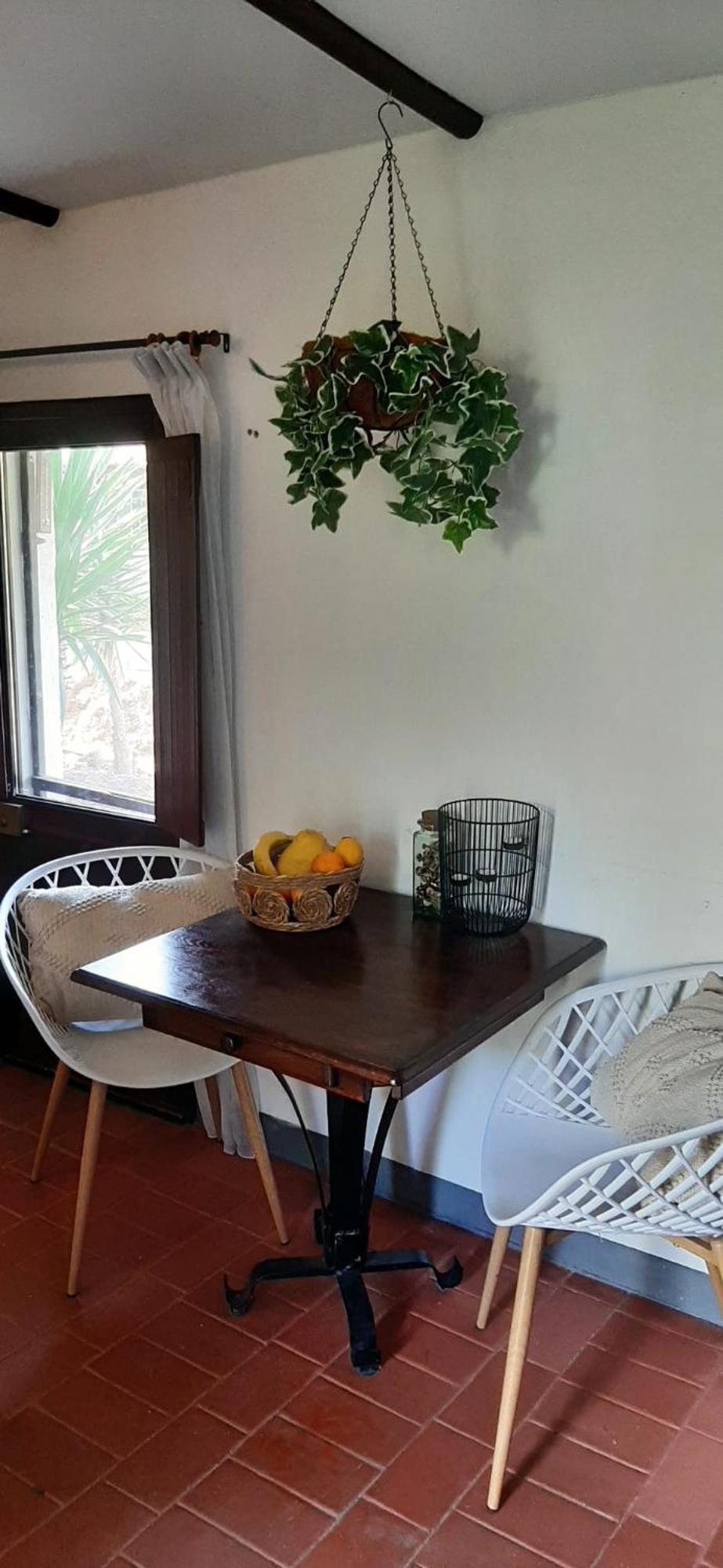 Yuccasa - Small Glamping & Studio's * Pombal (Leiria)