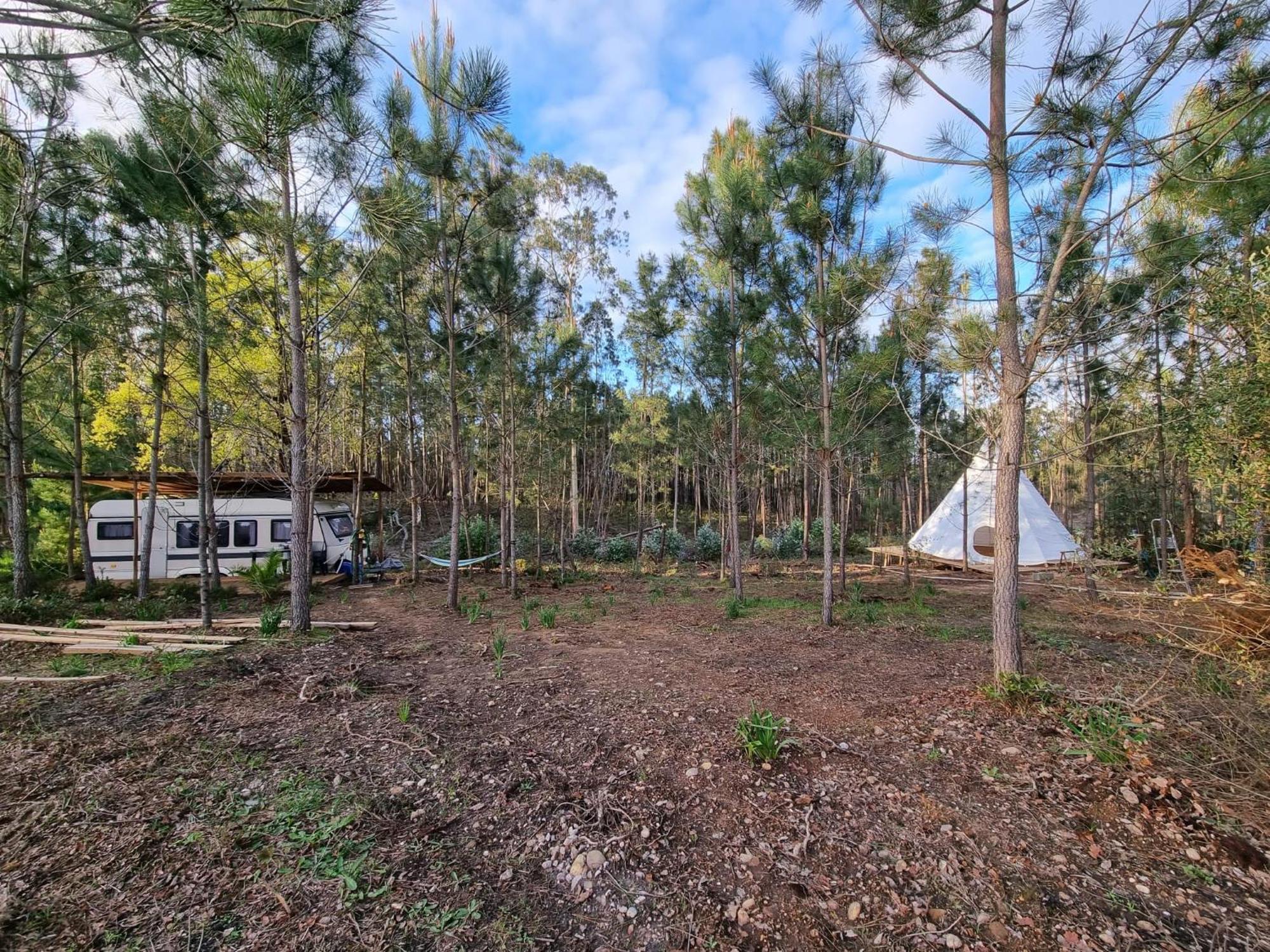 Yuccasa - Small Glamping & Studio's * Pombal (Leiria)
