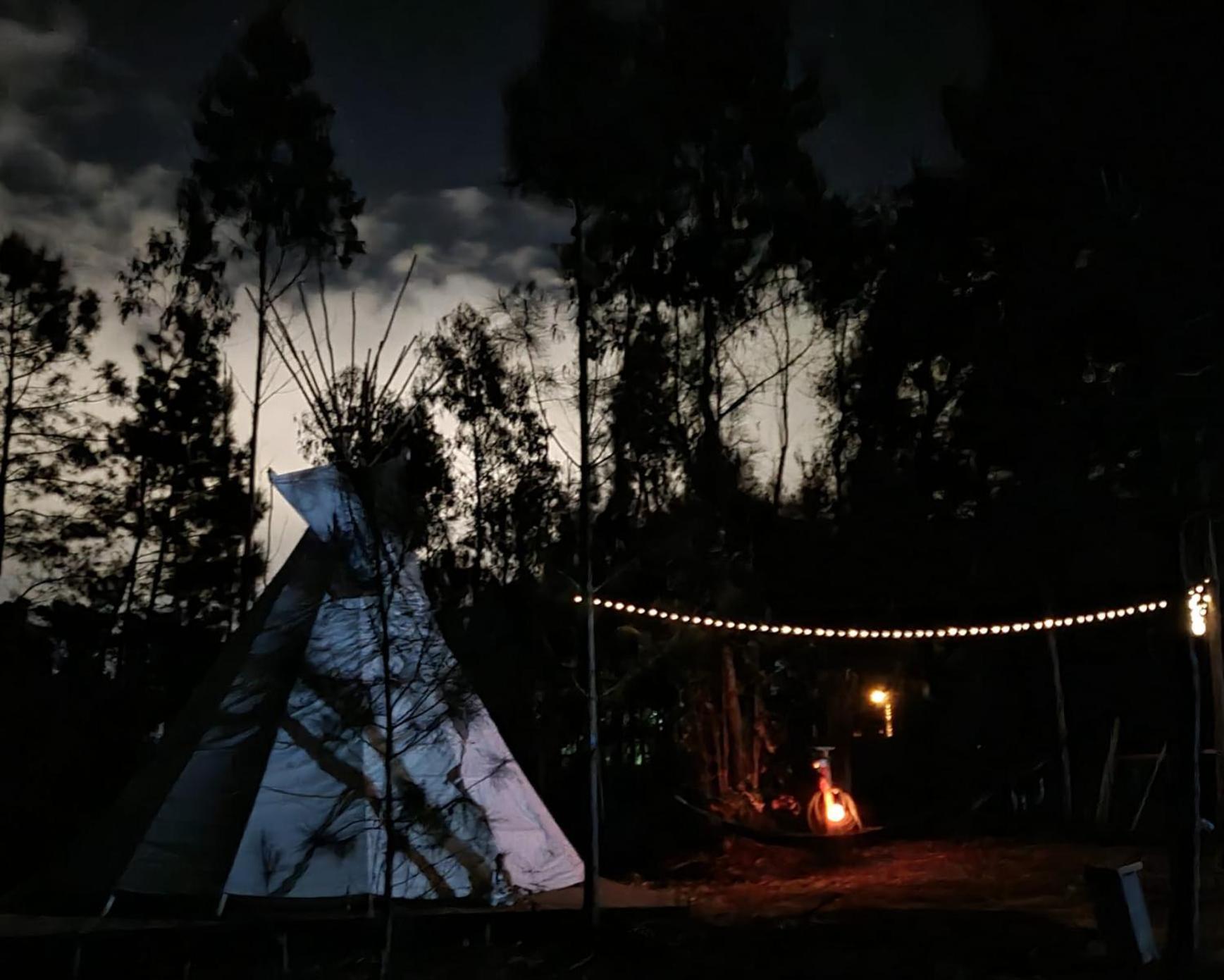 Yuccasa - Small Glamping & Studio's Pombal (Leiria)